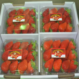 Organic strawberry 500g_4pack_2kg_box_